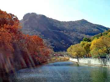 澳门天天免费精准大全，水晶耗材